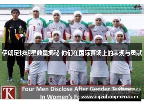 伊朗足球明星数量揭秘 他们在国际赛场上的表现与贡献
