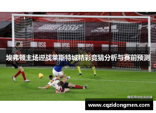 埃弗顿主场迎战莱斯特城精彩竞猜分析与赛前预测