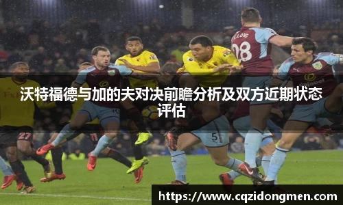 亚洲胜游沃特福德与加的夫对决前瞻分析及双方近期状态评估